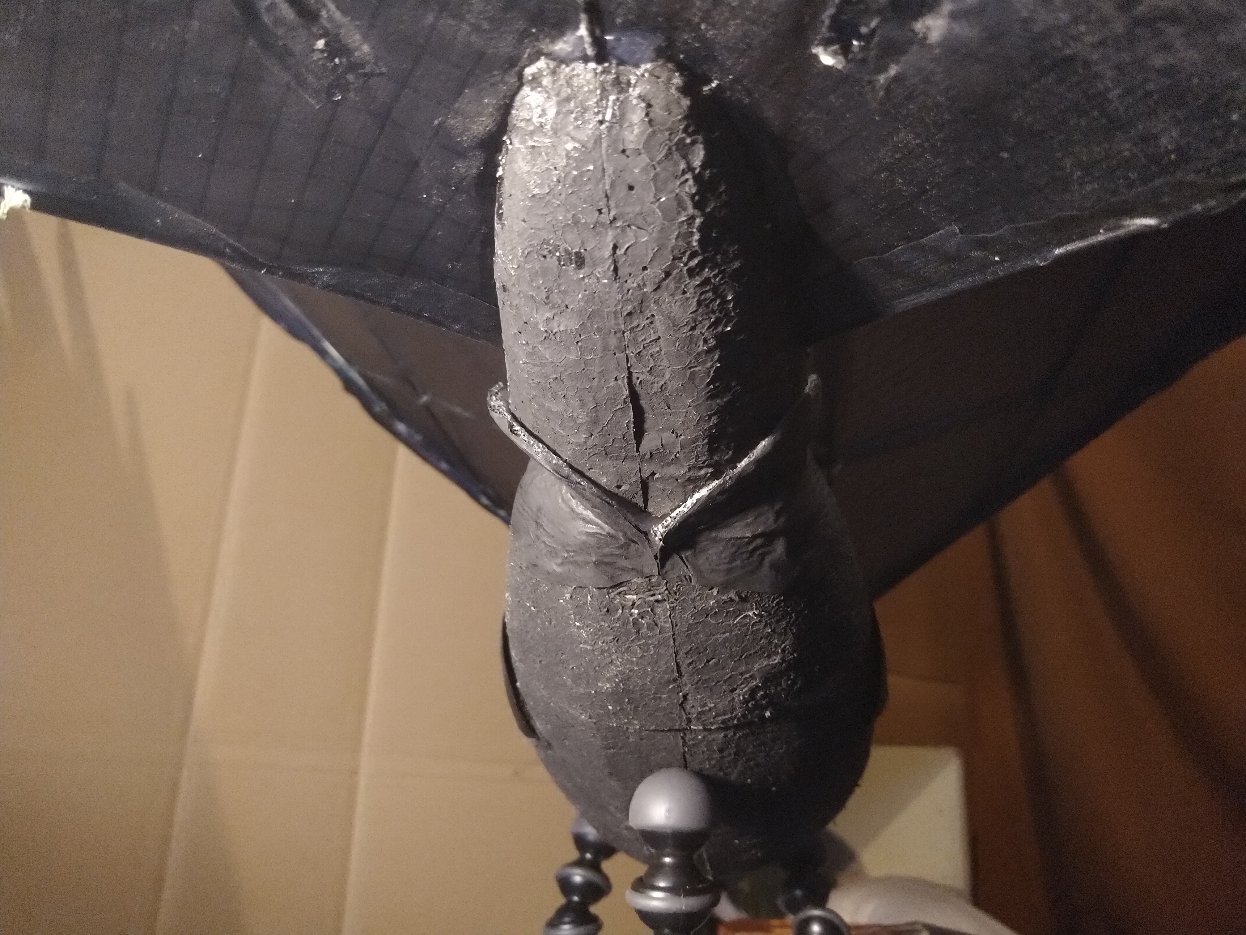 5IMG_20200520_073013