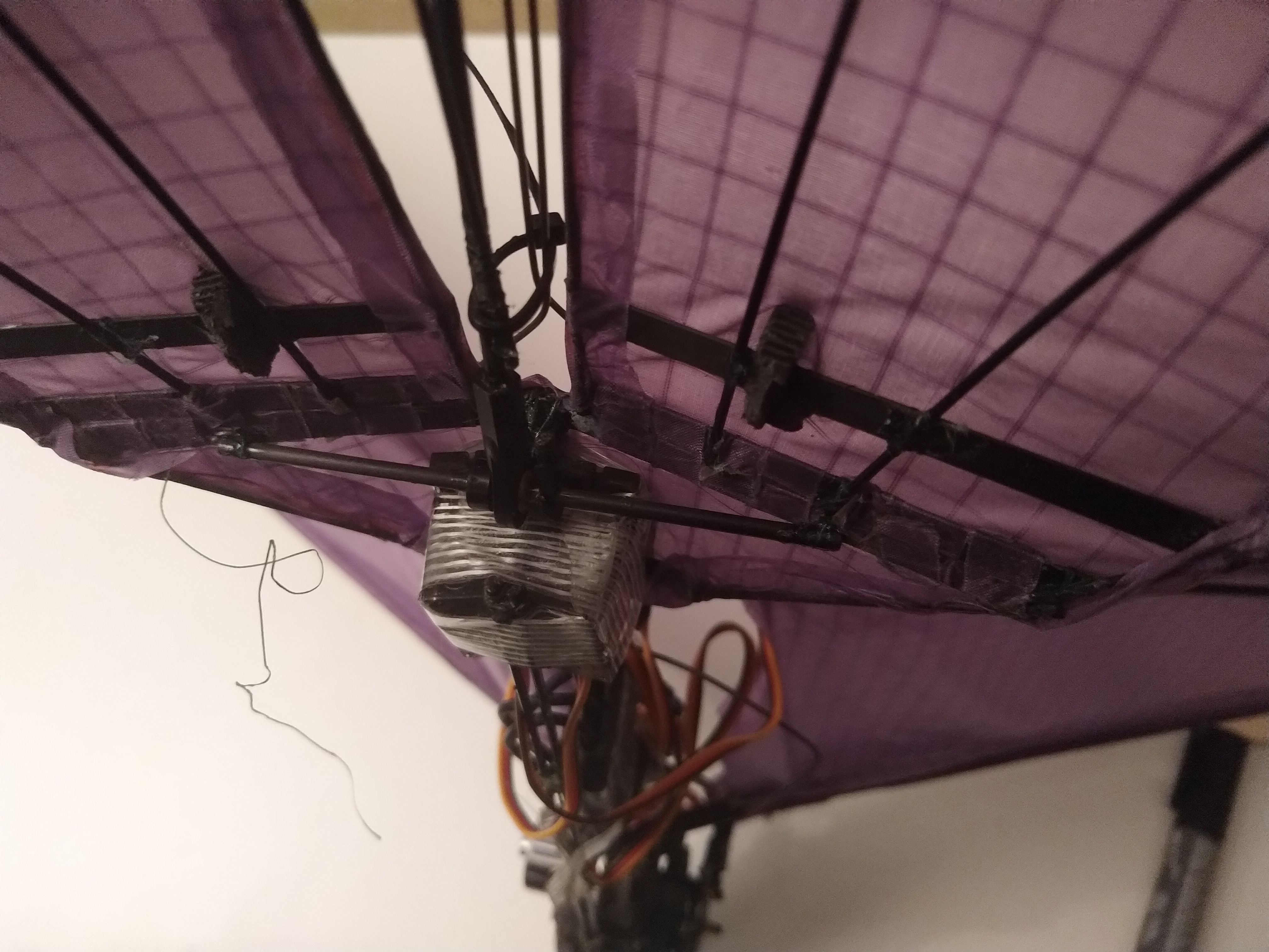 attachment point of movable tail