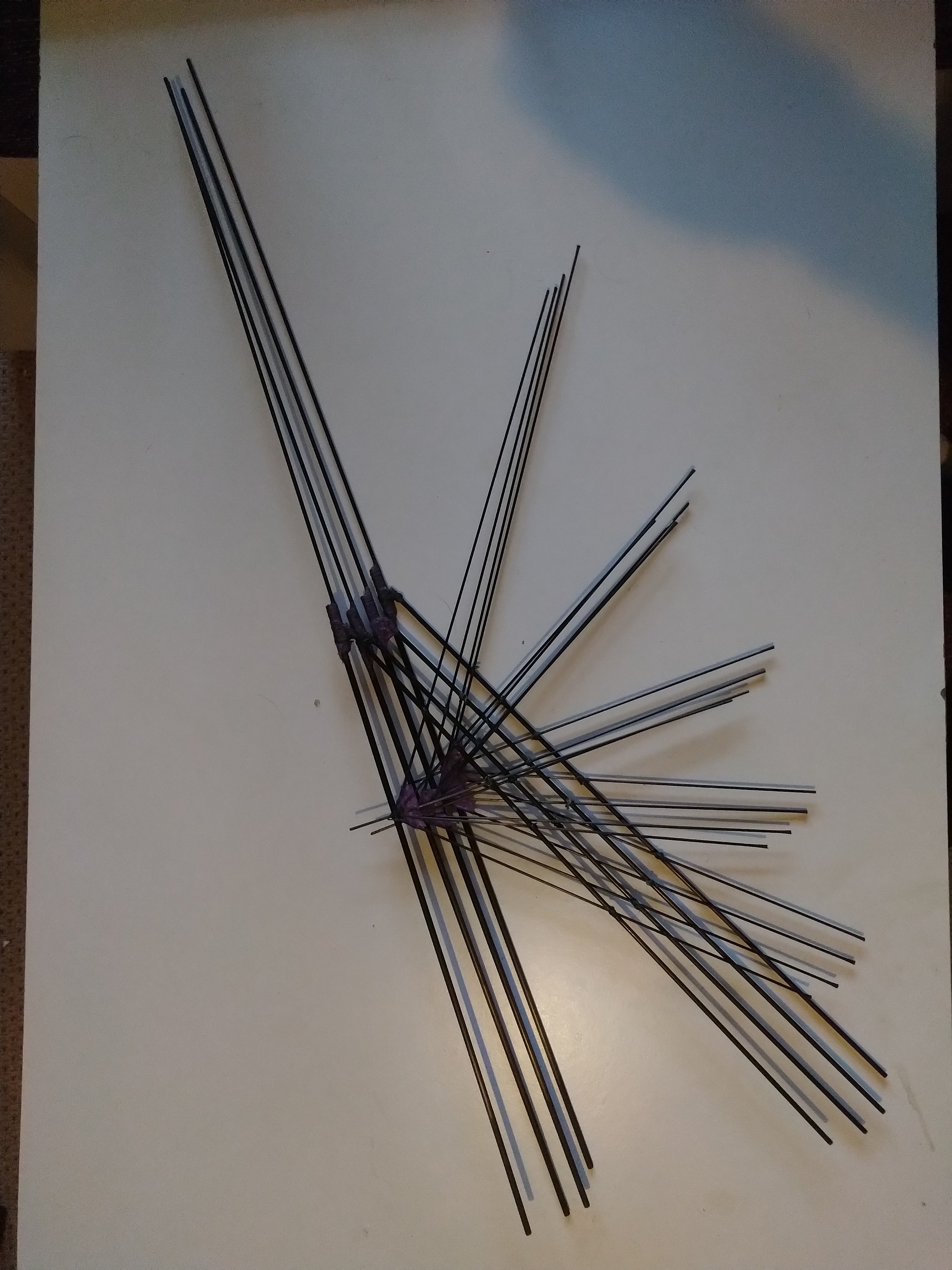 wings without membrane