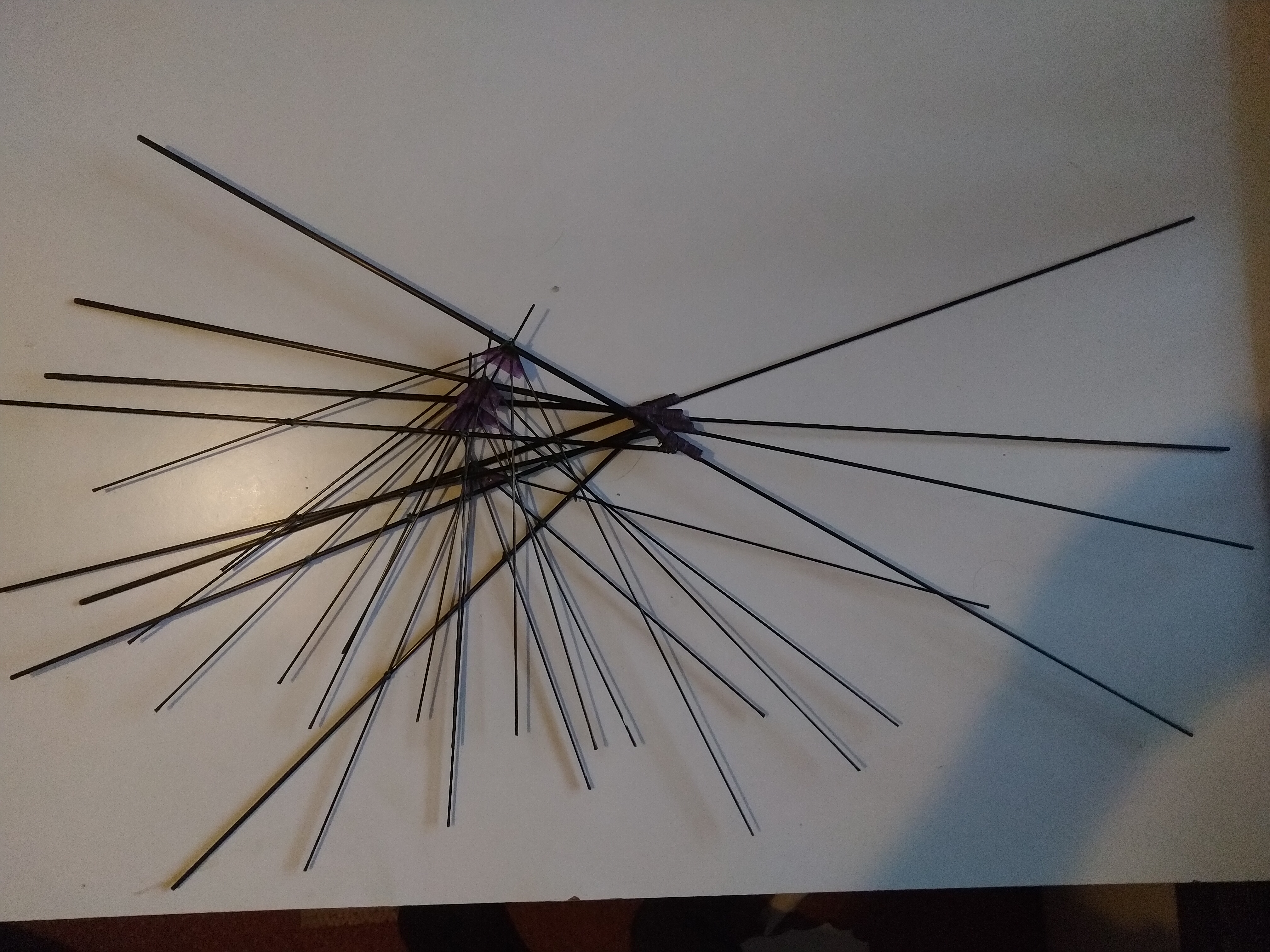 wings without membrane