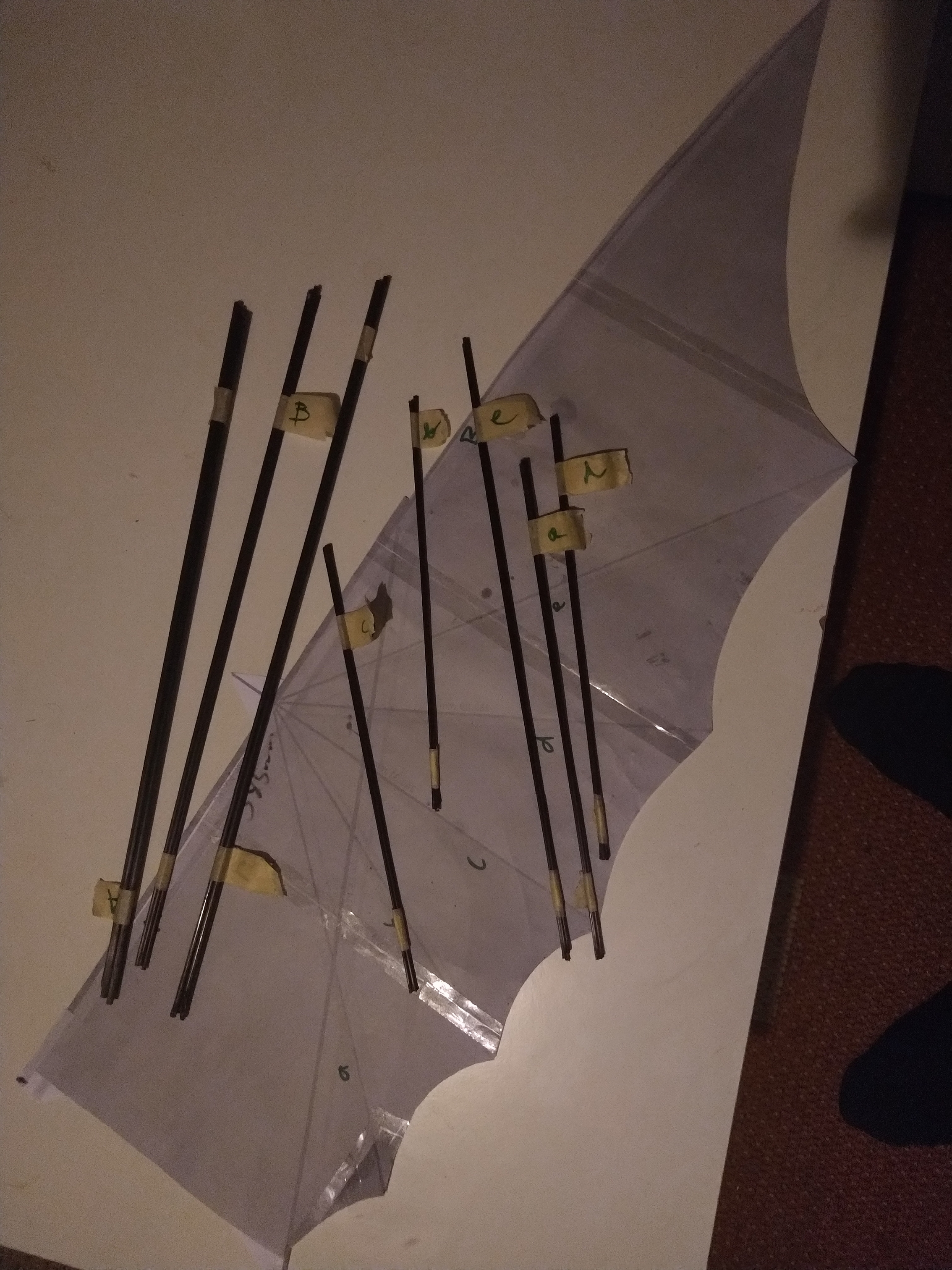 carbon rods for wings